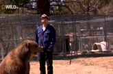 Hollywood’s Killer Bear (2010)