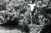 The New Adventures of Tarzan (1935)