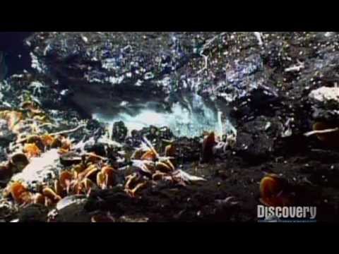2057 - The World (2007)