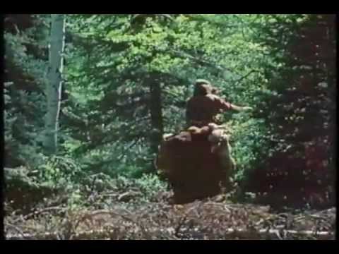 Buffalo Rider (1978)