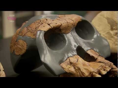 The Conspiracy Road Trip: Creationism (2012)