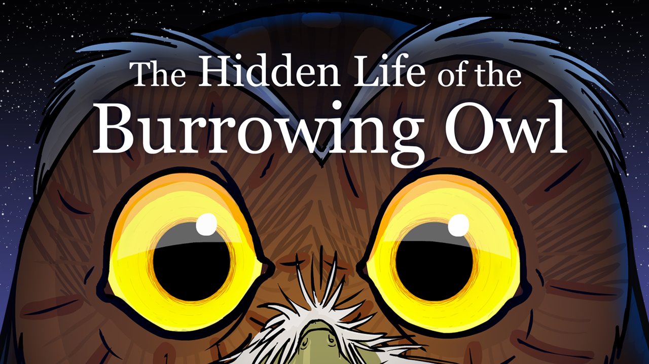The Hidden Life of the Burrowing Owl (2008)
