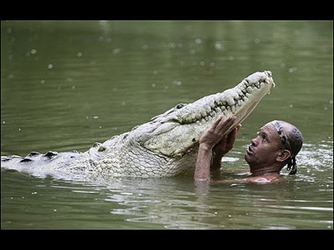 The Man Who Swims With Crocodiles (2011)