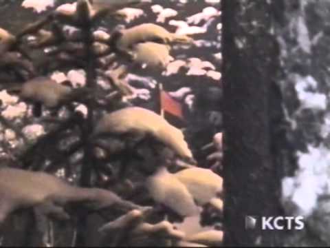 Welcome to North Korea (2001)