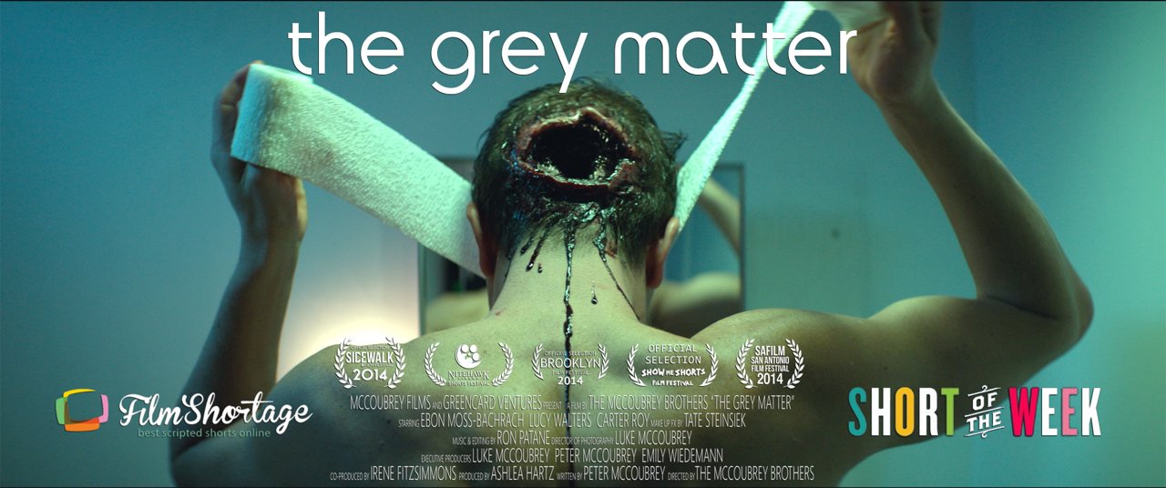 The Grey Matter (2014)