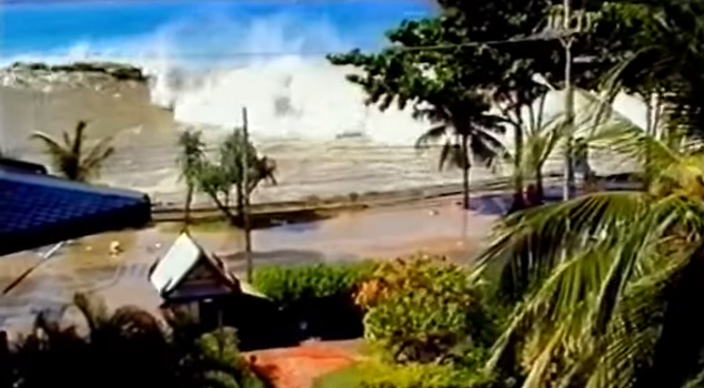 Tsunami: Caught on Camera (2009)