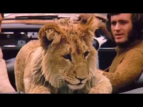 A Lion Called Christian (2010)
