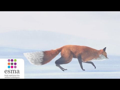 The Short Story of a Fox and a Mouse (2015)