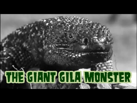 The Giant Gila Monster (1959)