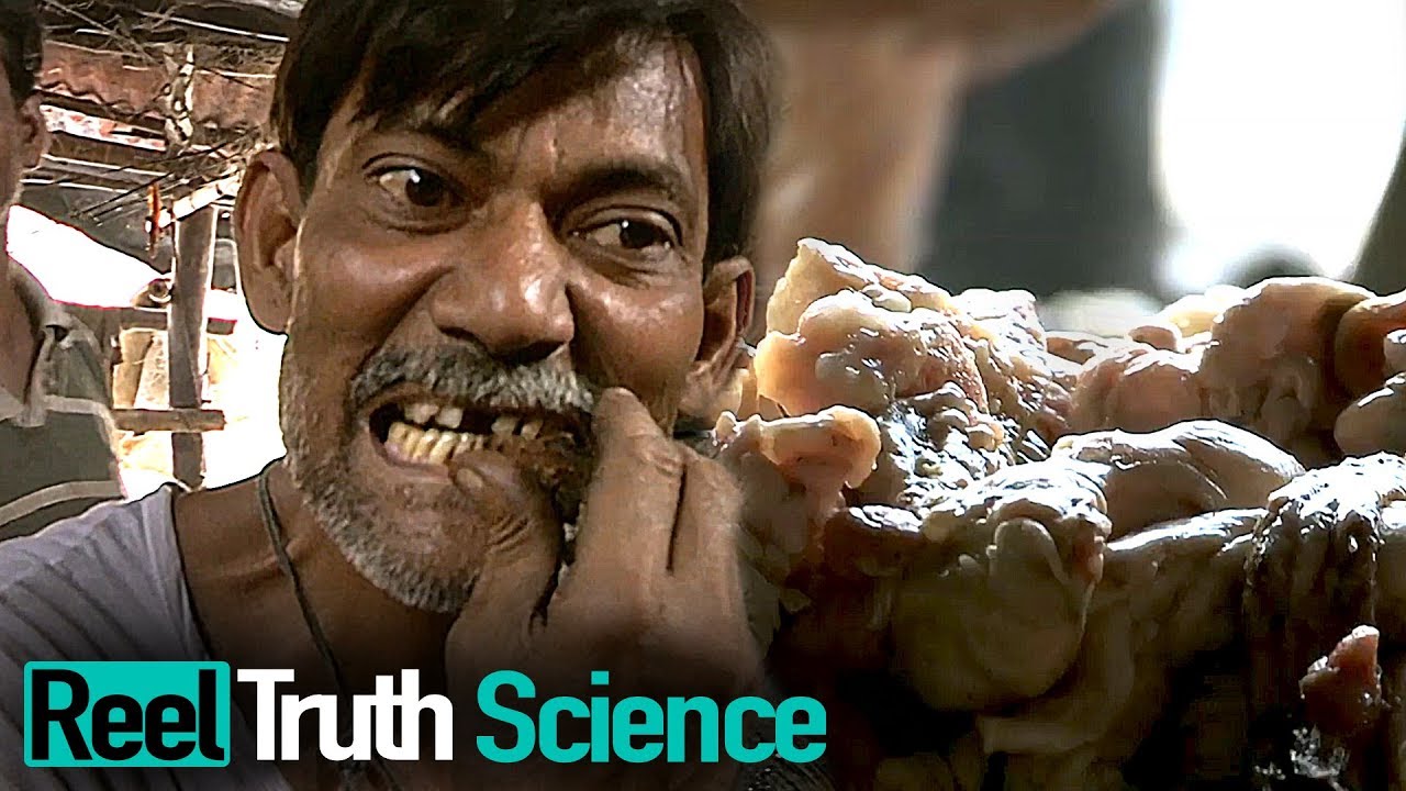 Welcome to India (2012)