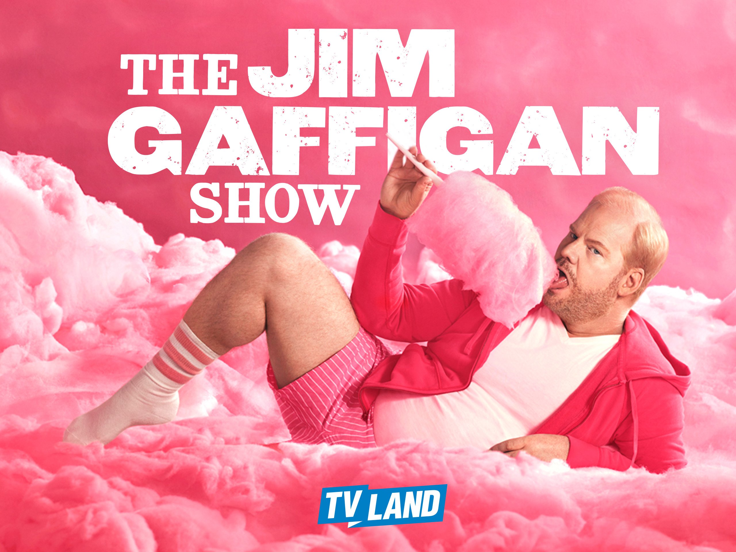 The Jim Gaffigan Show - Season 2 (2016)