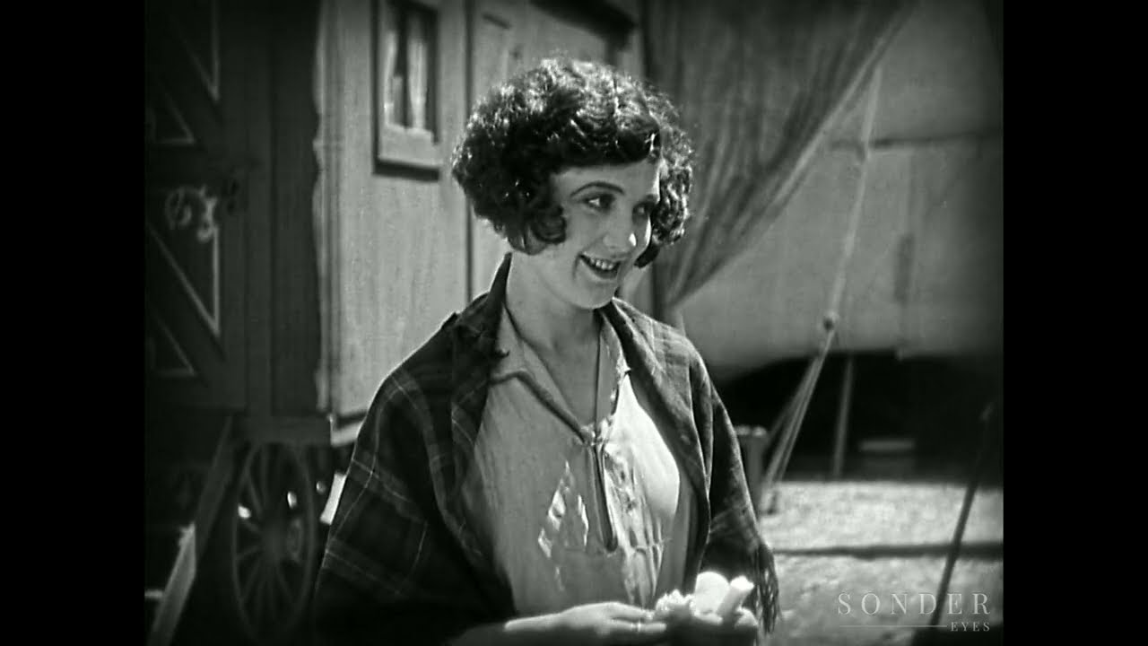 The Circus (1928)